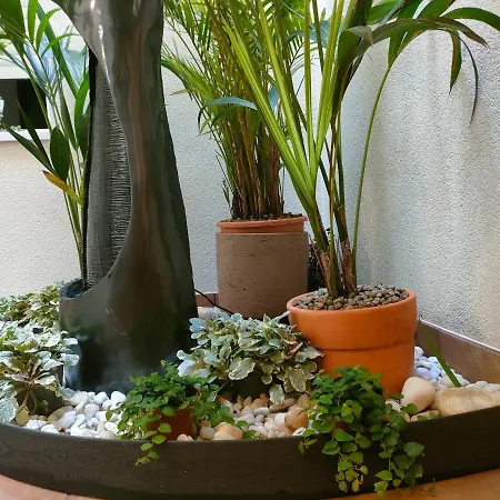 Apartamento Ravachol Ciudad Pontevedra